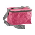 BORSA TERMICA 4 LITRI - 4 COLORI ASSORTITI