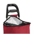 BORSA TROLLEY TERMICA - COLORI ASSORTITI
