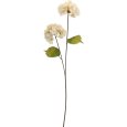 ORTENSIA DECORATIVA 2 FIORI - COLORI ASSORTITI