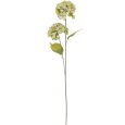 ORTENSIA DECORATIVA 2 FIORI - COLORI ASSORTITI
