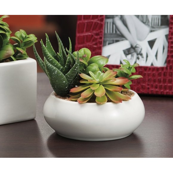 VASO PIANTA GRASSA 12X5H CM