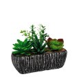 VASO + PIANTA GRASSA - MODELLI ASSORTITI