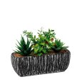VASO + PIANTA GRASSA - MODELLI ASSORTITI