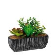 VASO + PIANTA GRASSA - MODELLI ASSORTITI