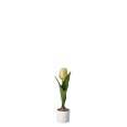 VASO CON TULIPANO - COLORI ASSORTITI
