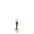VASO CON TULIPANO - COLORI ASSORTITI