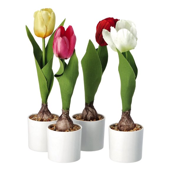 VASO CON TULIPANO - COLORI ASSORTITI