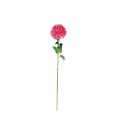 DALIA PER DECORAZIONE 66 CM - COLORI ASSORTITI
