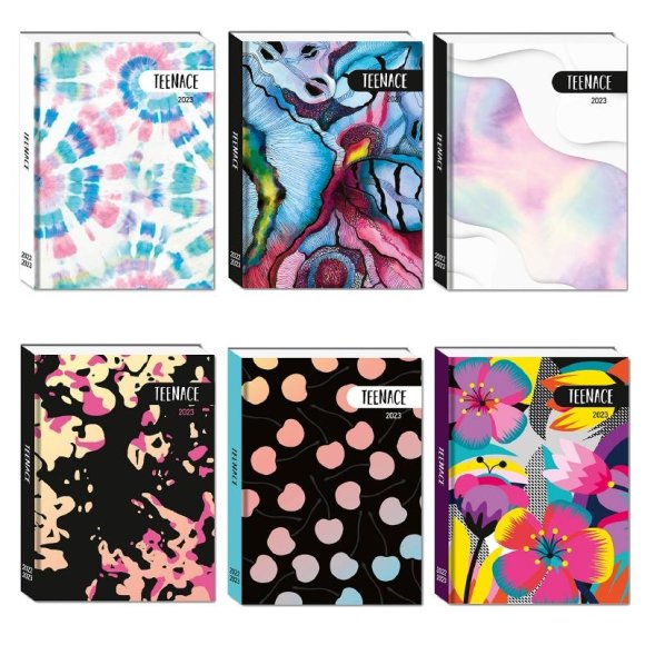 DIARIO POCKET TEENACE 12M SEVEN