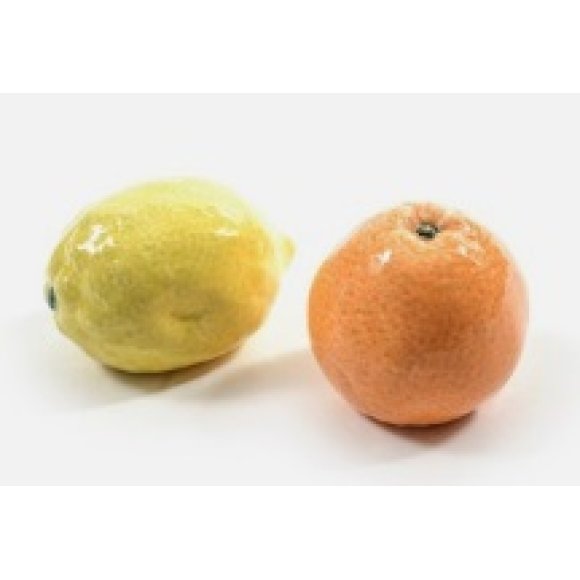 MERCURY DECORAZIONE AGRUME IN PORCELLANA - ASSORTITI MERCURY DECORAZIONE AGRUME IN PORCELLANA - ASSORTITI