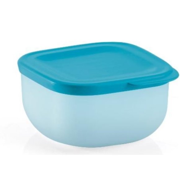 GUZZINI CONTENITORE ERMETICO BASSO LINEA CHEF LINE - 975 CC