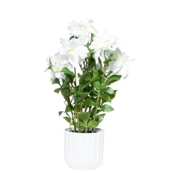 MERCURY DALIA BIANCA IN VASO DI PLASTICA - D.56XH67 CM 