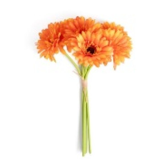 MERCURY GERBERE ARANCIONI IN POLIESTERE - 6 PEZZI MERCURY GERBERE ARANCIONI IN POLIESTERE - 6 PEZZI