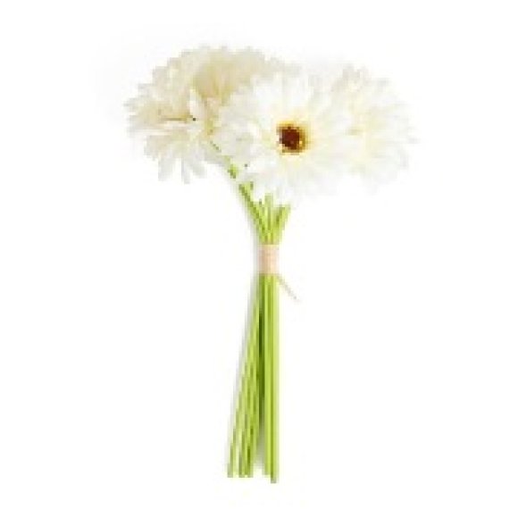 MERCURY GERBERE BIANCHE IN POLIESTERE - 6 PEZZI 