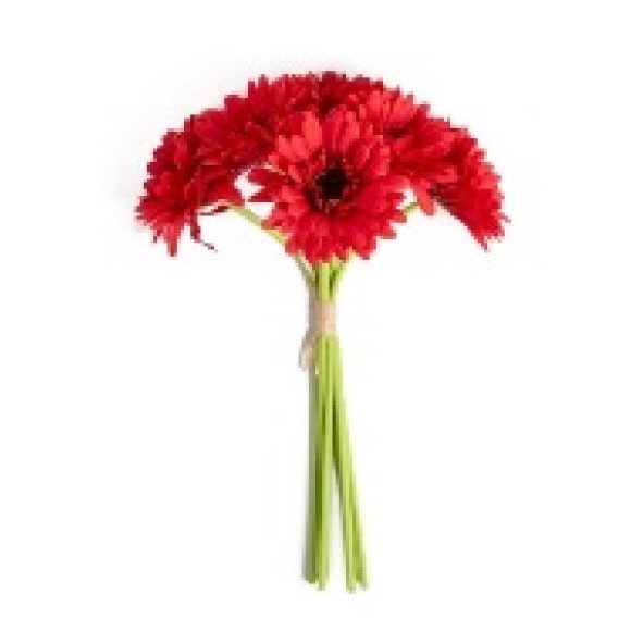 MERCURY GERBERE ROSSE IN POLIESTERE - 6 PEZZI 