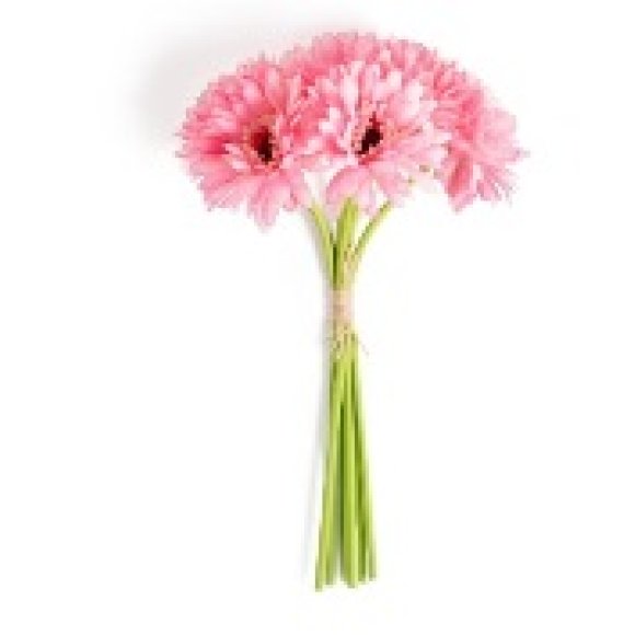 MERCURY GERBERE ROSA IN POLIESTERE - 6 PEZZI