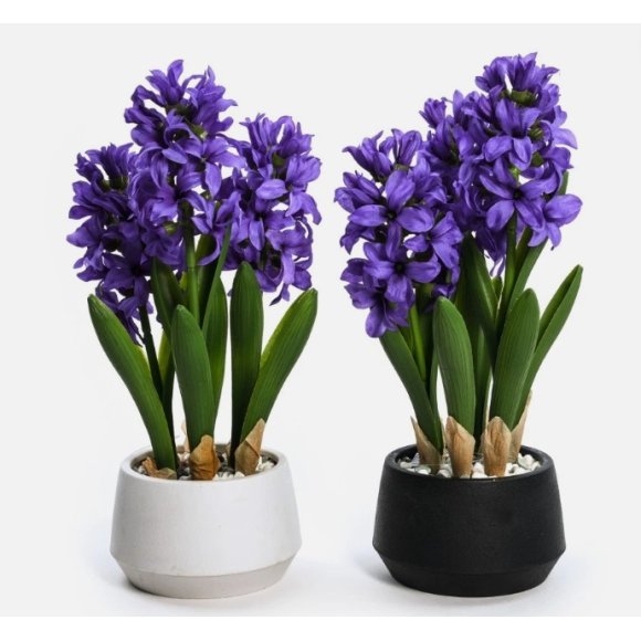 MERCURY GIACINTO LILLA IN VASO  16xH33 CM - COLORI ASSORTITI