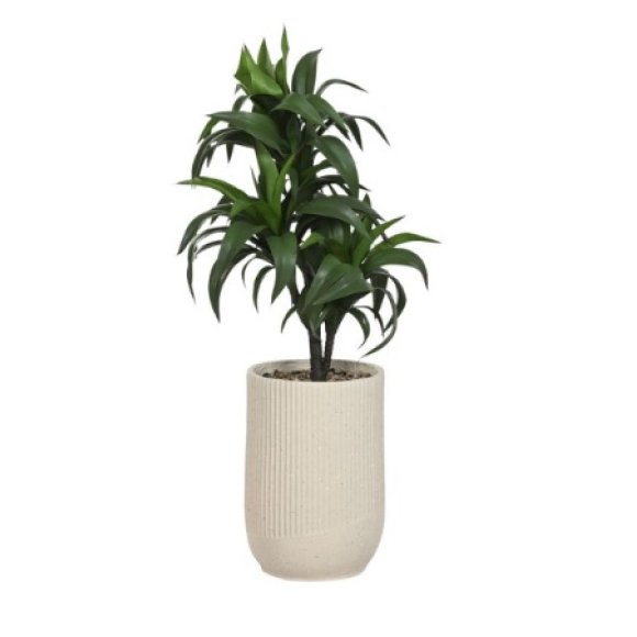 PIANTA DECORATIVA HOME ESPRIT RESINA POLIETILENE -50X50X102 CM
