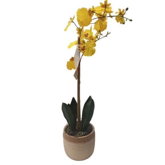 MERCURY ORCHIDEA REAL TOUCH GIALLO IN VASO 
