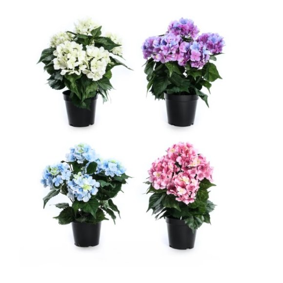 MERCURY ORTENSIA IN VASO DI PLASTICA D.25XH.38CM  - COLORI ASSORTITI