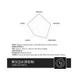 TORALDO CIALDA CIALDE 50 PZ CAFFE' ESPRESSO MISCELA SCURA ORIGINI 6BZB5 TORALDO CIALDA CIALDE 50 PZ CAFFE' ESPRESSO MISCELA SCURA ORIGINI 6BZB5