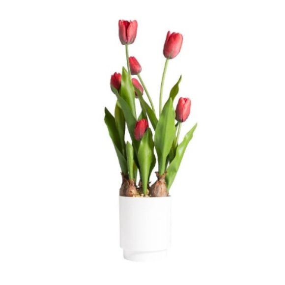 TULIPANI IN VASO -12X12X53CM