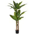 PIANTA FOGLIA BANANA VERDE