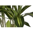 PIANTA ARTIFICIALE DI DRACAENA 200 CM