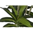 PIANTA ARTIFICIALE DI DRACAENA 200 CM