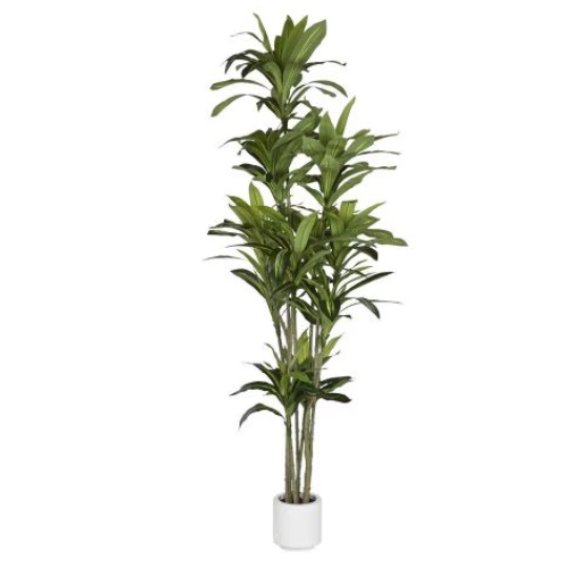 PIANTA ARTIFICIALE DI DRACAENA 200 CM
