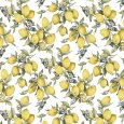 VINGI - TOVAGLIA "GIORGIA -LIMONE" COD.P6346