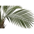 PIANTA HOJAS VERDE 