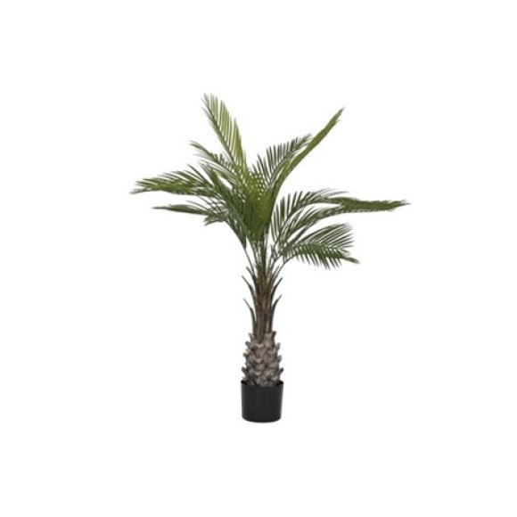 PIANTA HOJAS VERDE 