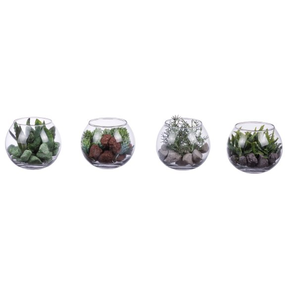COMPOSIZIONE PIANTE + VASO VETRO