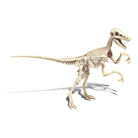 ARCHEOGIOCANDO*VELOCIRAPTOR