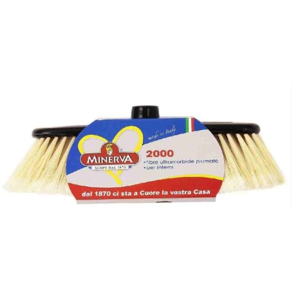 SCOPA MINERVA 2000