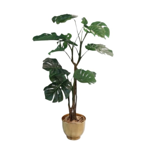 PIANTA MONSTERA IN VASO 160cm 02620