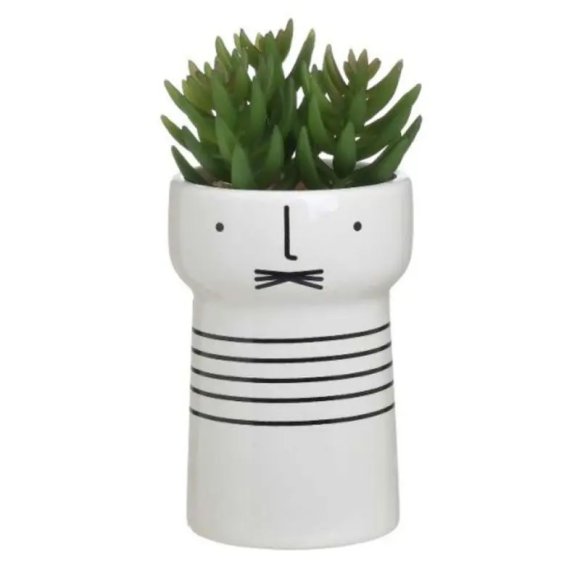 PIANTA IN VASO DECORATO