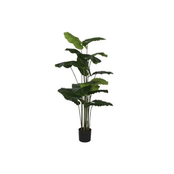 PIANTA ALOCASIA ARTIFICIALE