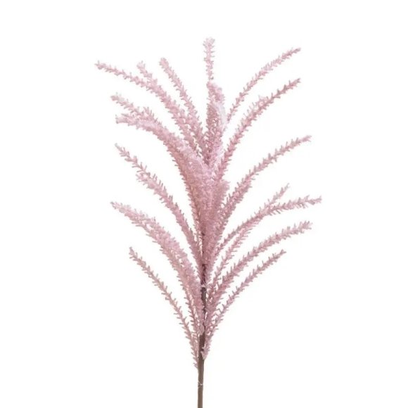 PIANTA RAMIFICATA - ROSA 