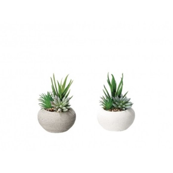 VASO CON PIANTA GRASSA PER DECORAZIONE 15 H CM