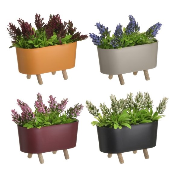 PIANTA IN VASO - COLORI ASSORTITI