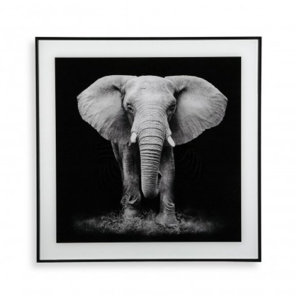 QUADRO ELEFANTE