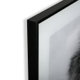 QUADRO LEONE