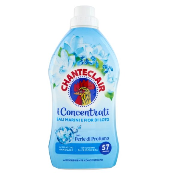 CHANTE CL.AMM. CONC.1,14 LT SALI