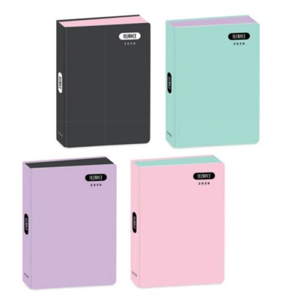 DIARIO POCKET 12M PASTELLO TEENACE
