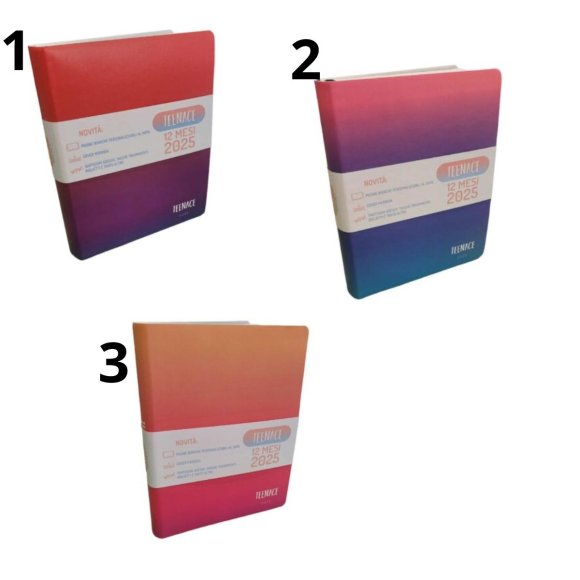 DIARIO 12M SPECIAL TEENACE