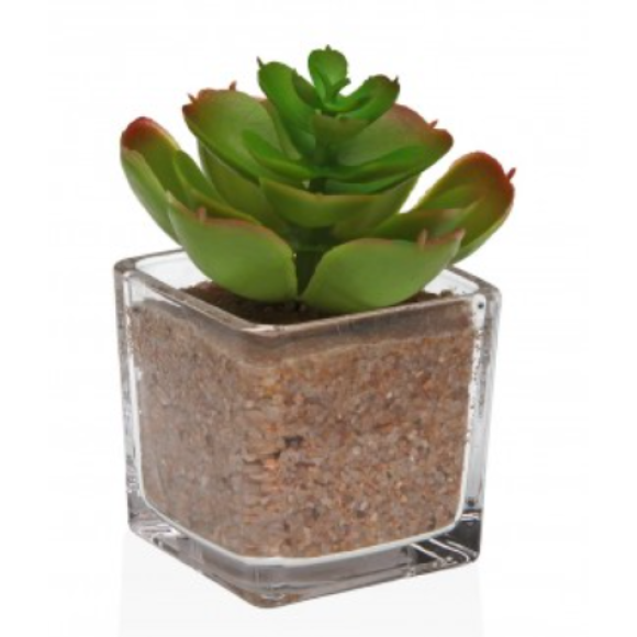 VASO VETRO CON SUCCULENTA 4- 20320036